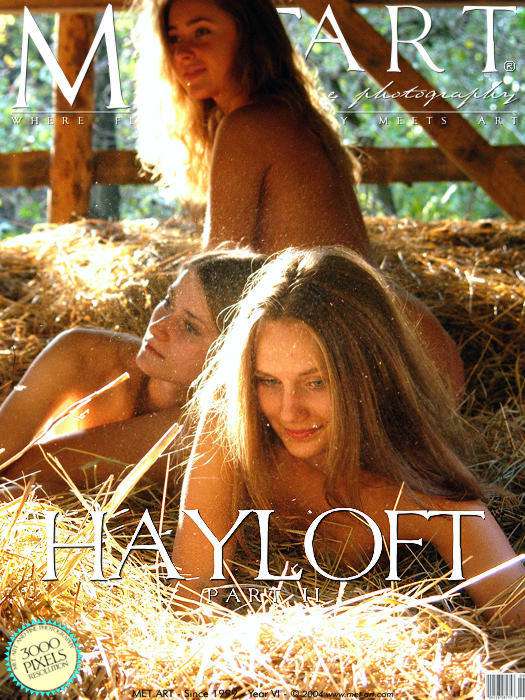 Met-Art Hayloft